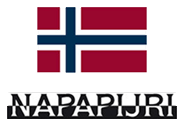 Napapijri logo, horizontal version, on a transparent background
