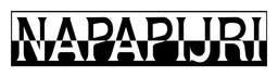 Napapijri logo, monochrome wordmark version, on a transparent background