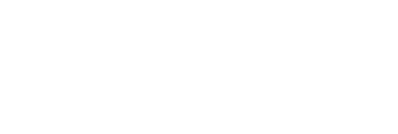 Nars logo on a transparent background