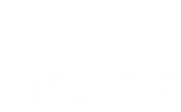 Naspers logo, white version, on a transparent background