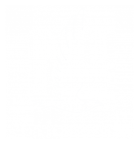 Nationwide Logo, Variante Icon weiß, auf transparentem Hintergrund