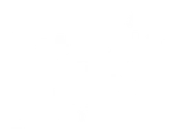Natur Produkt logo, white version, on a transparent background
