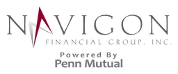 Navigon logo, monochrome wordmark version, on a transparent background