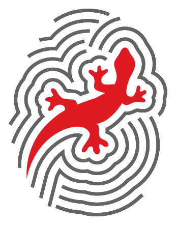 Netvision logo, horizontal version, on a transparent background