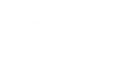 New York Public Library logo, white version, on a transparent background