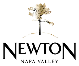 Newton logo, icon version, on a transparent background