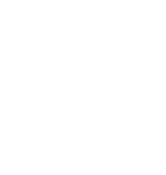 NG logo, white icon version, on a transparent background