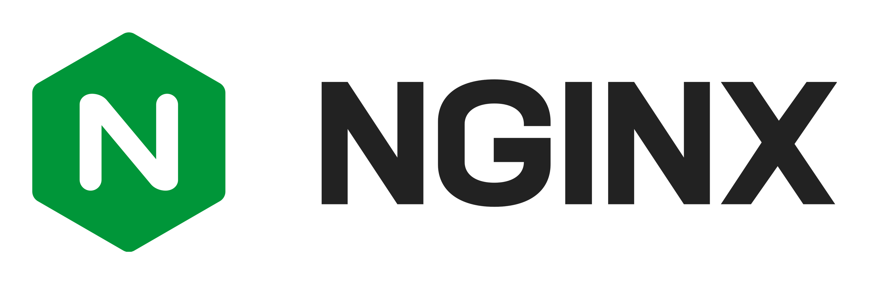 Nginx logo on a transparent background