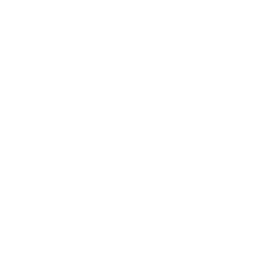 Nicky Romero logo, white icon version, on a transparent background