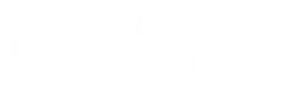 Nidera logo, white wordmark version, on a transparent background