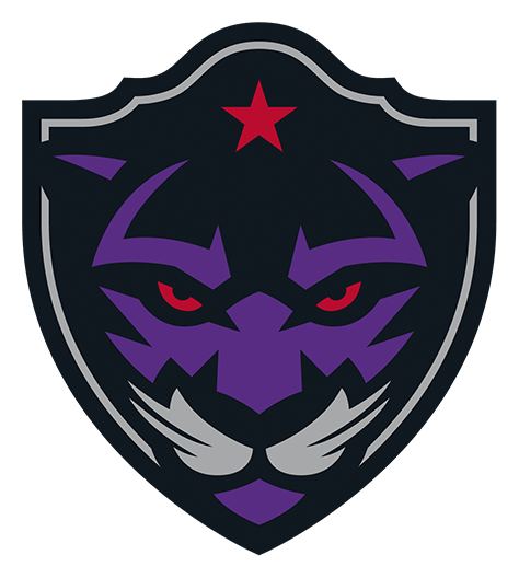 NLL logo, icon version, on a transparent background