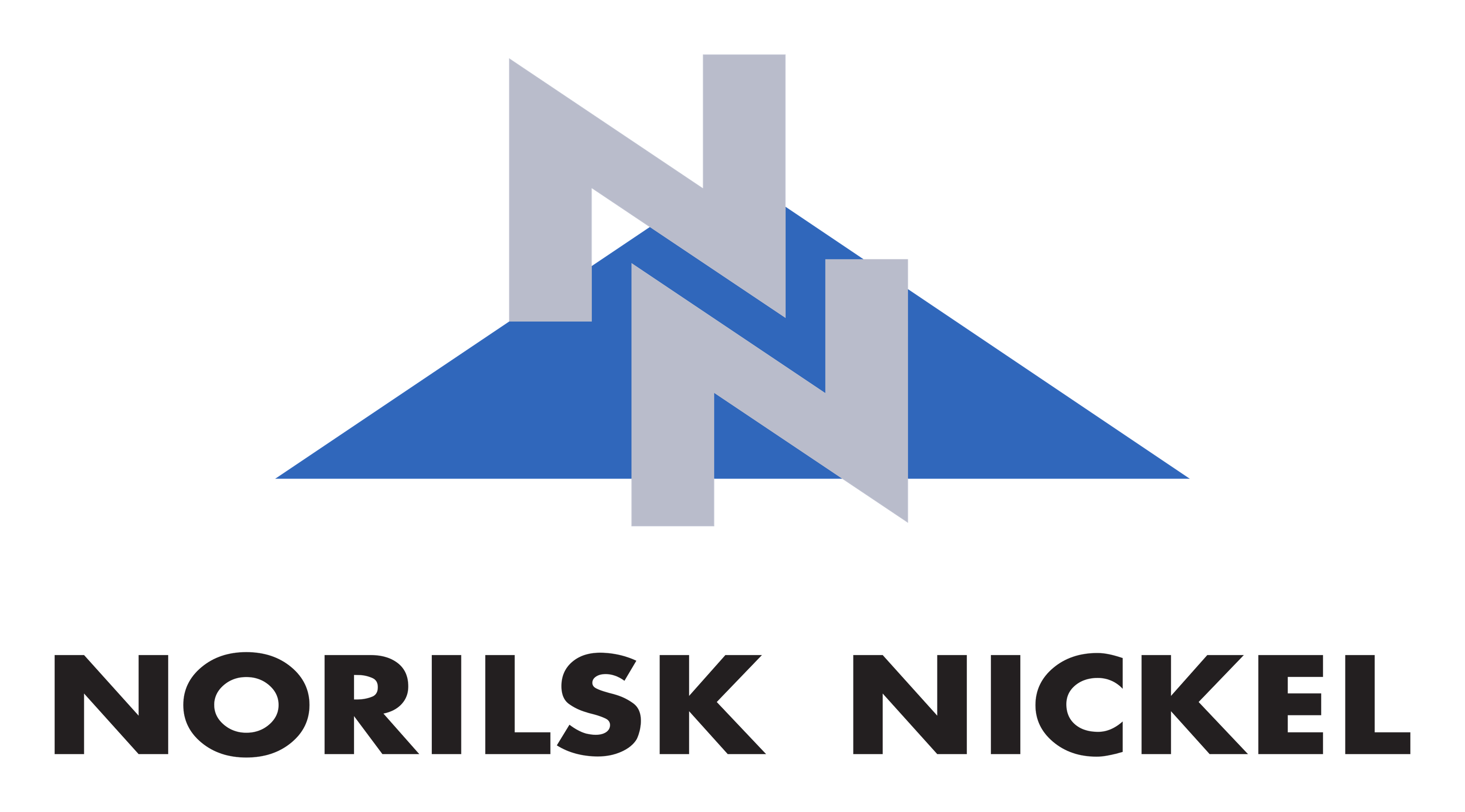 Norilsk Nickel logo on a transparent background