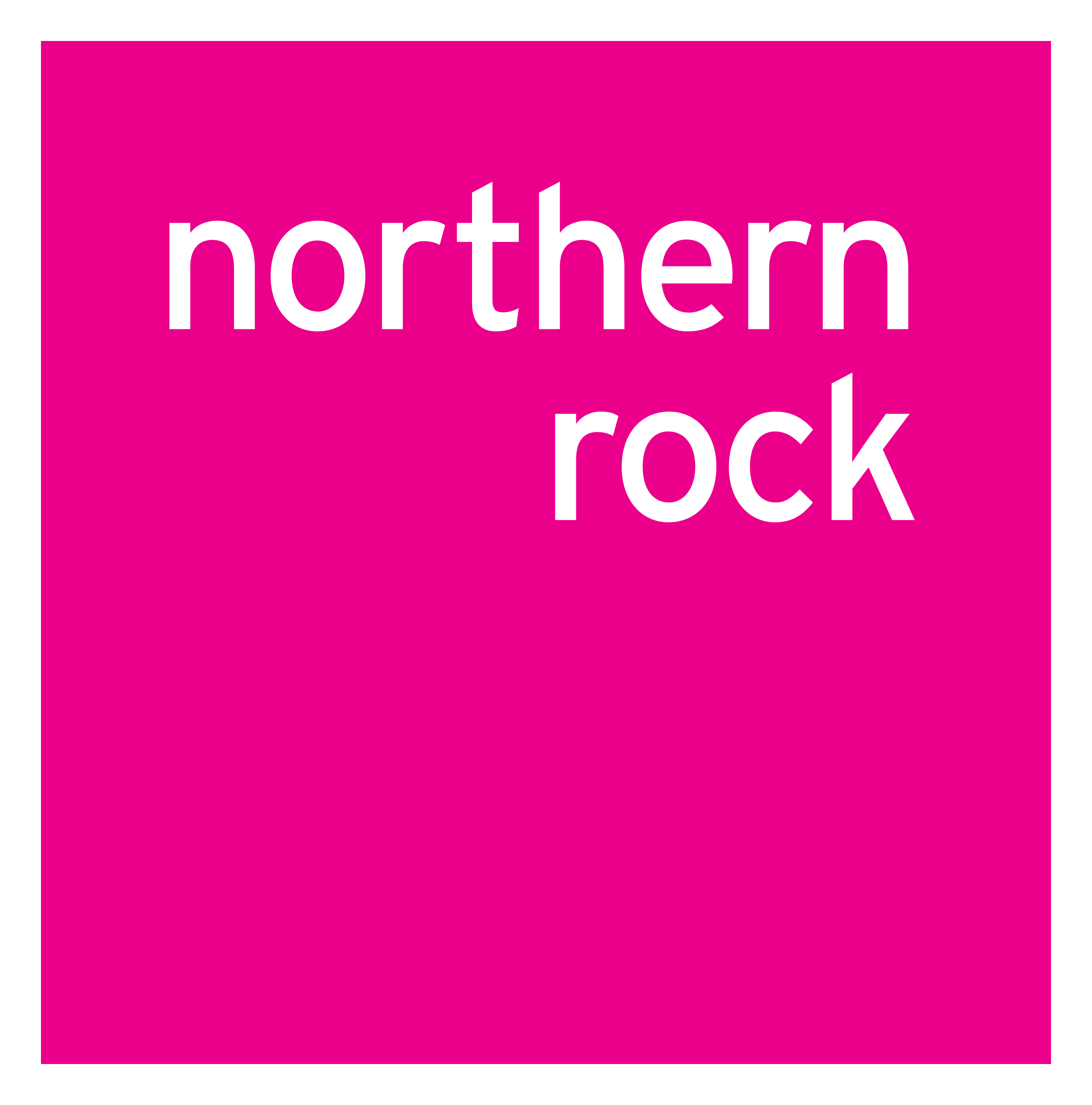 Northern Rock logo on a transparent background