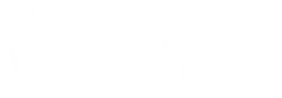 Northern Trust logo, white wordmark version, on a transparent background