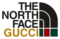 Northface logo