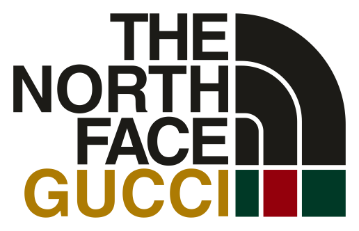 Northface logo on a transparent background