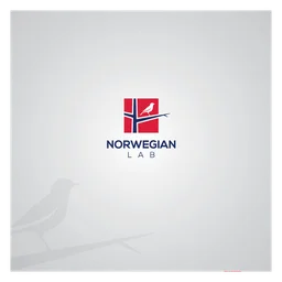 Norwegian logo, white icon version, on a transparent background