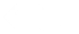 NS logo, white wordmark version, on a transparent background