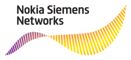 NSN logo