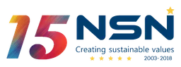 NSN logo, wordmark version, on a transparent background