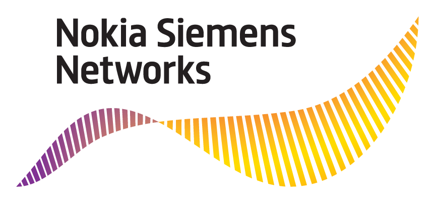 NSN logo on a transparent background