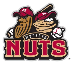 Nuts logo, icon version, on a transparent background