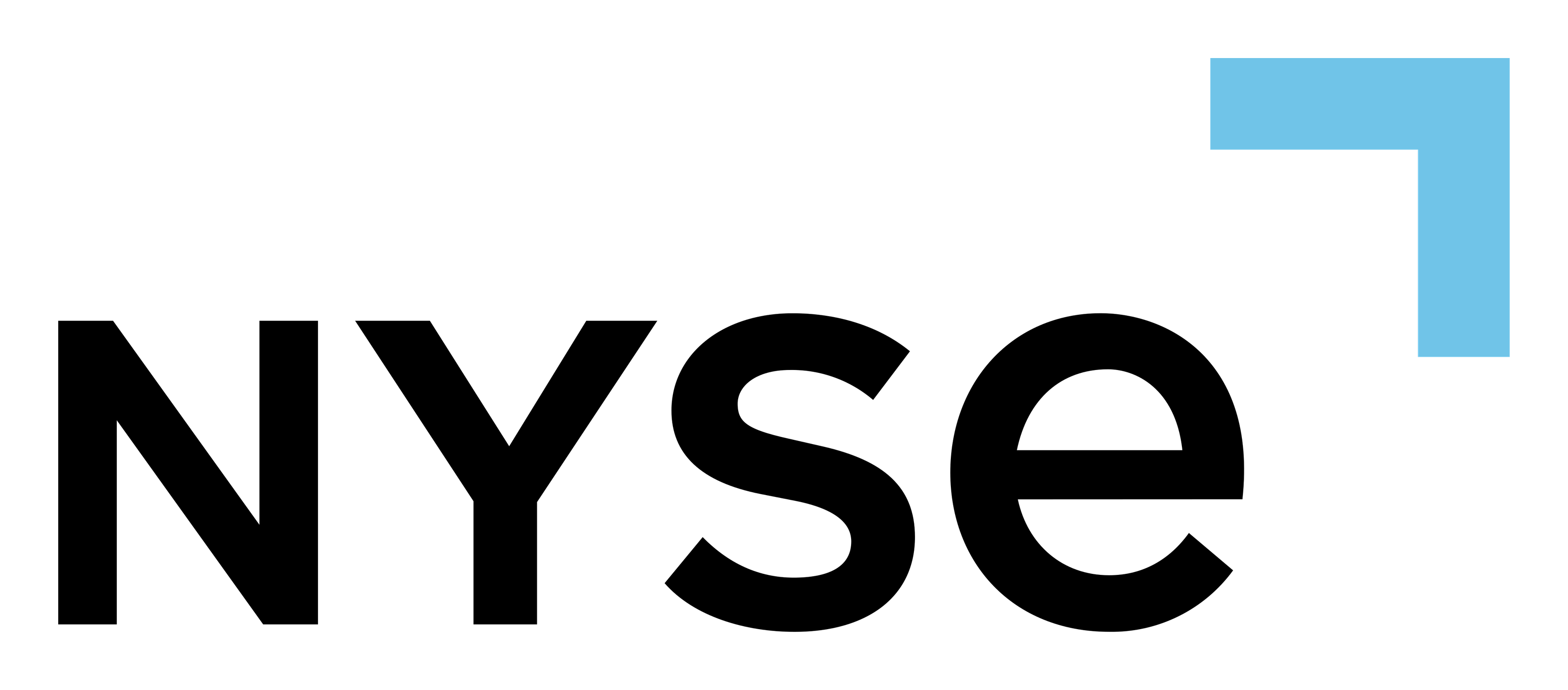 Nyse logo on a transparent background