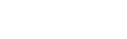 Nysra logo, white wordmark version, on a transparent background