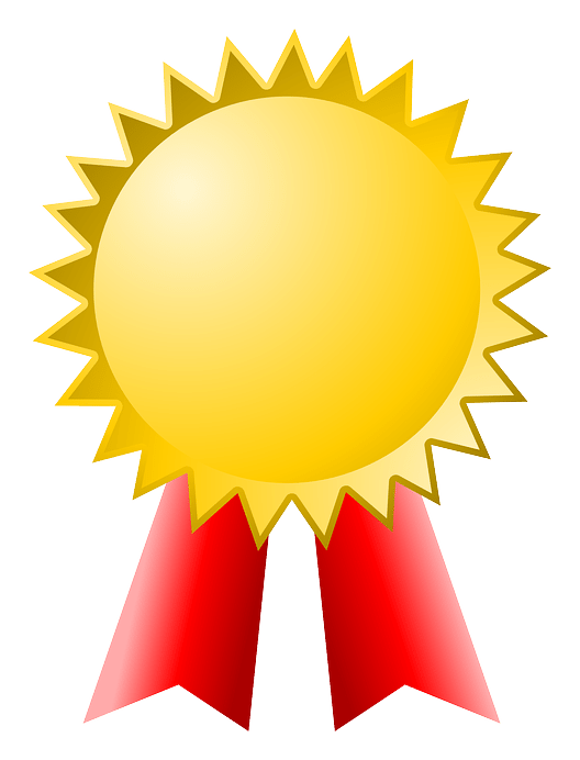Nysra logo on a transparent background