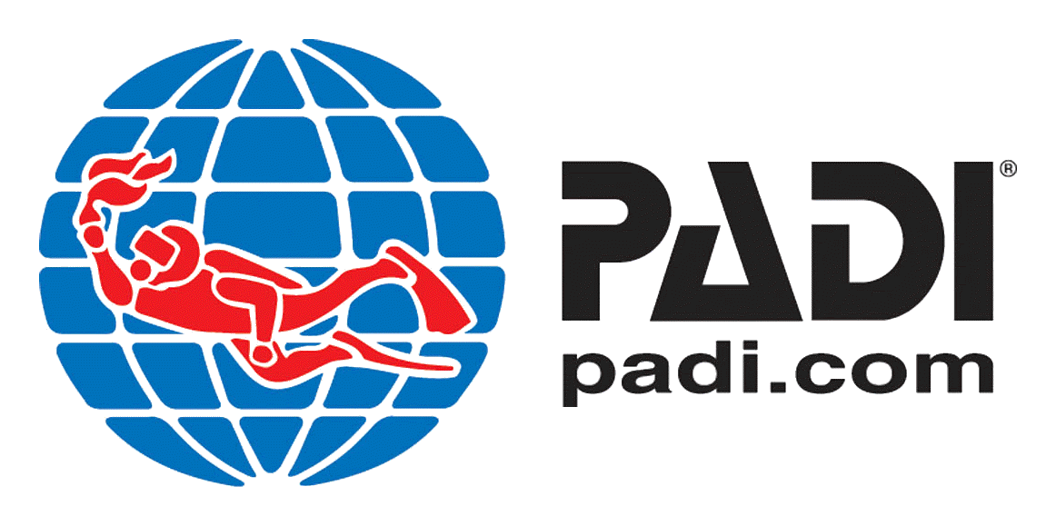 Padi logo on a transparent background