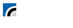 Pagid logo, white wordmark version, on a transparent background