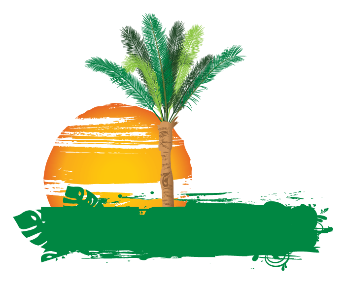 Palm logo on a transparent background