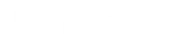 Palmetta logo, white wordmark version, on a transparent background