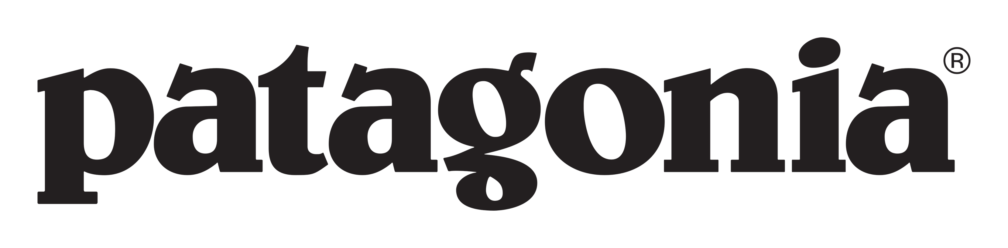 Patagonia logo on a transparent background