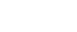 Pci Express logo, white wordmark version, on a transparent background