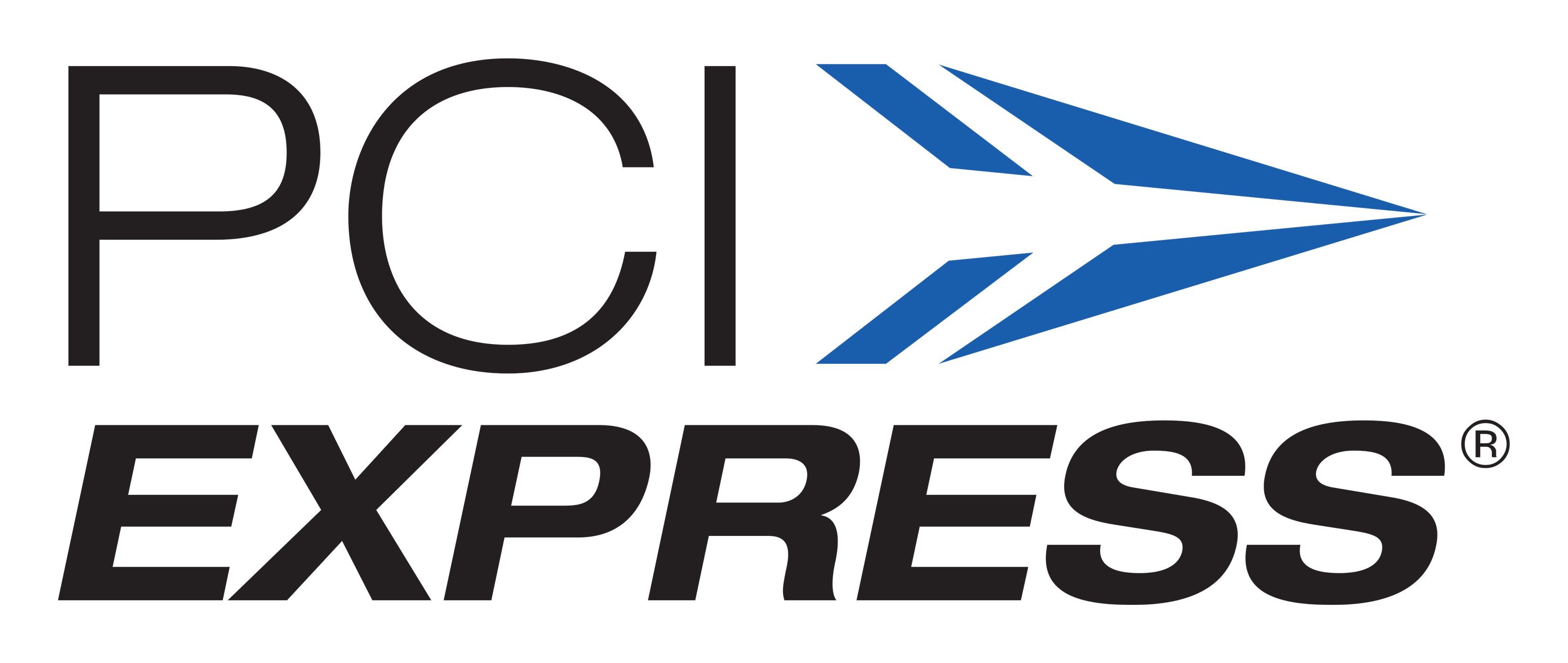 Pci Express logo on a transparent background