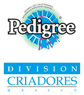 Pedigree logo, icon version, on a transparent background