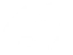 Pegasystems logo, white version, on a transparent background