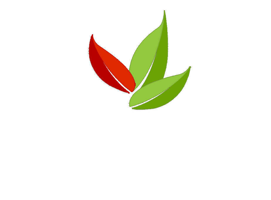 Peru Tourism logo on a transparent background