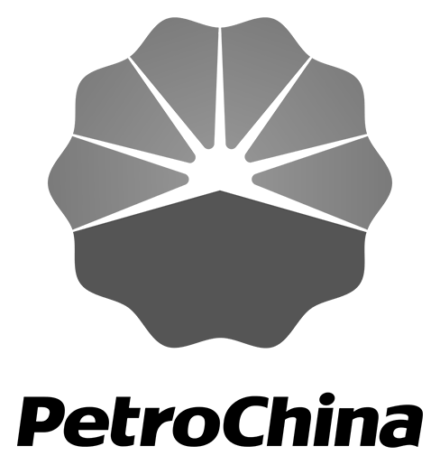 Petrochina logo, monochrome icon version, on a transparent background
