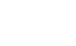 Pfizer logo, white version, on a transparent background