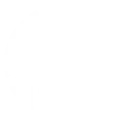 Picasa logo, white icon version, on a transparent background