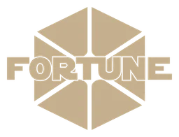Platinum Equity logo, horizontal version, on a transparent background