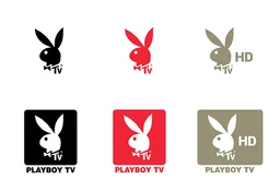 Playboy TV logo, white version, on a transparent background