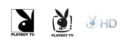 Playboy TV logo, white wordmark version, on a transparent background