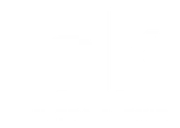 Polk Audio logo, white version, on a transparent background
