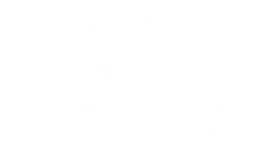 Polygon logo, white version, on a transparent background