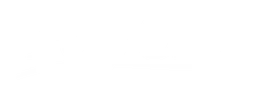 Polyone logo, white wordmark version, on a transparent background