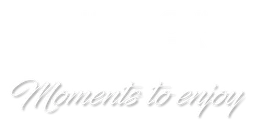 Primadonna logo, white version, on a transparent background