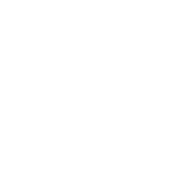 Pritt logo, white icon version, on a transparent background